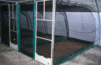 cage4x351
